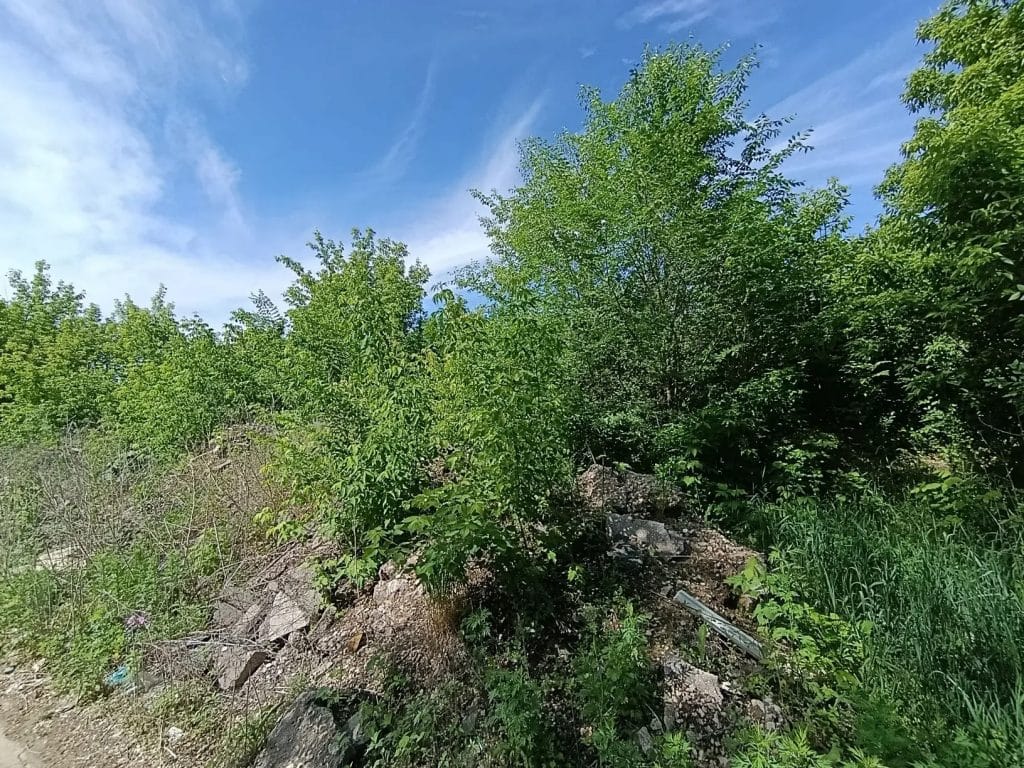 Городской мусор